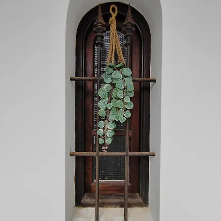 Dream Apartament Corralejo